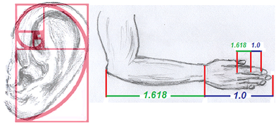 Mystery of Golden Ratio Revealed Page 7